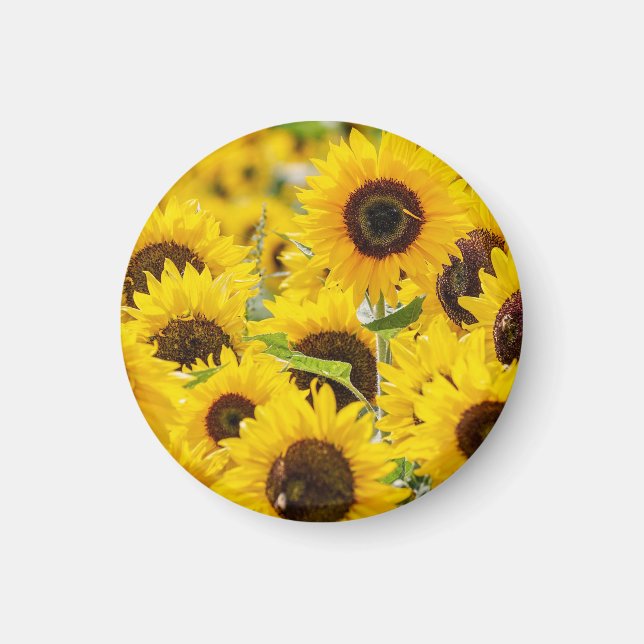 Aimant Monogramme de tournesol personnalisé (Devant)