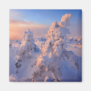 Aimant Mont Logan Sunrise Parc national de la Gaspésie Qu