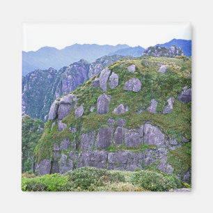 Aimant Mont Nagata, Yakushima, Kagoshima, Japon