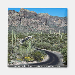 Aimant Montagnes d'Ajo, monument national de cactus de