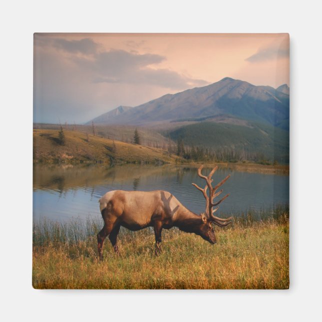 Aimant Montagnes | Jacques Mountain Range Alberta Canada (Devant)