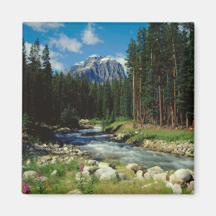 Aimant Montagnes Parc national Banff