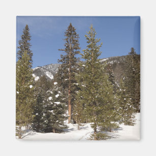 Aimant Montana Mountain Trails in Winter Landcape Photo