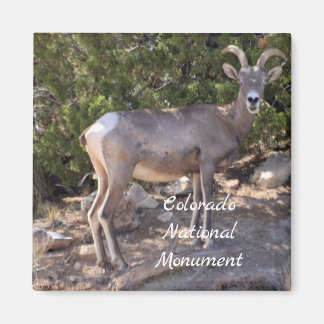 Aimant Monument national du Colorado