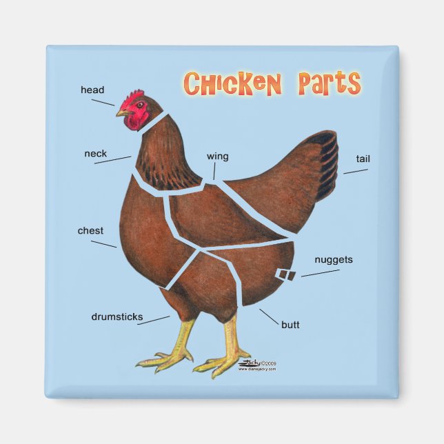 Aimant Morceaux de poulet (Devant)