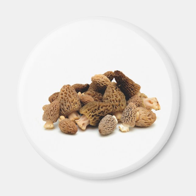 Aimant Morel Mushroom (Devant)