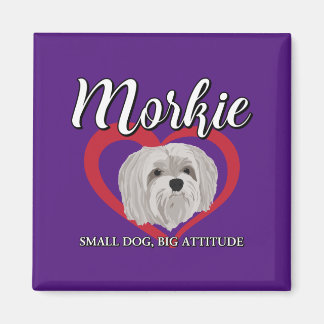 Aimant Morkie - Petit chien, grande attitude - 3