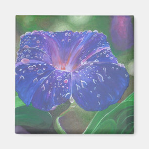 Aimant Morning Glory (Ipomoea Purpurea) Petals et Dew Dr.