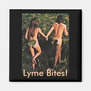 Aimant - morsures de Lyme !