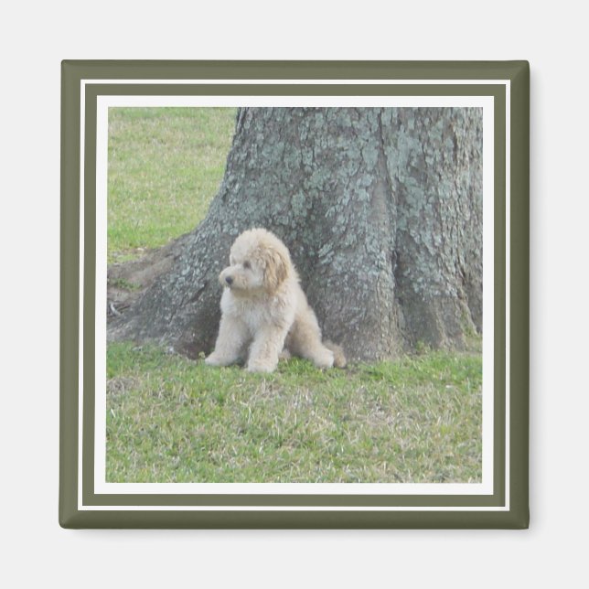 Aimant Moss Modèle photo personnalisé vert et blanc (Devant)