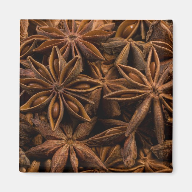 Aimant Motif Anise Stars (Devant)