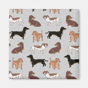 Aimant Motif chien Dachshund
