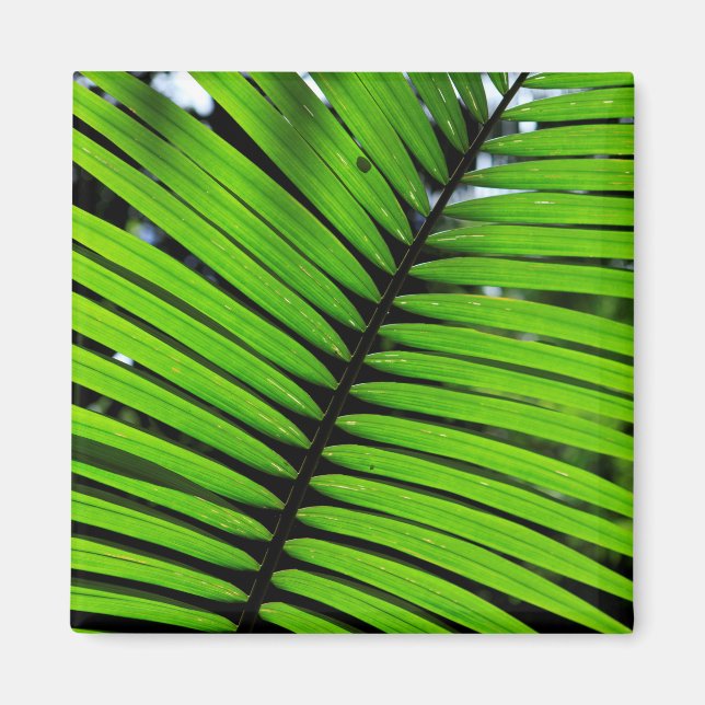 Aimant Motif de feuilles de fougère (Devant)