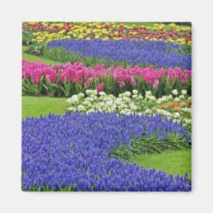 Aimant Motif de jacinthe des vignes, tulipes et 3