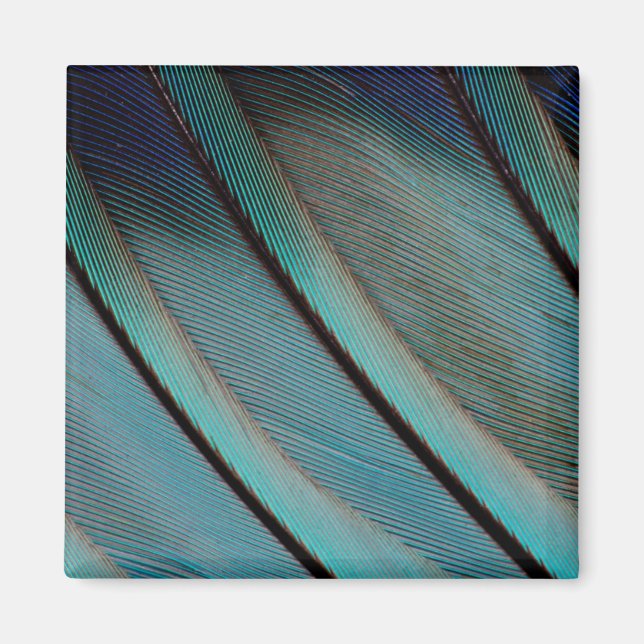 Aimant Motif de plume bleue (Devant)