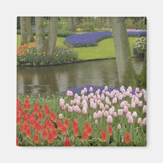 Aimant Motif de tulipes et de fleurs de muscari, (Devant)
