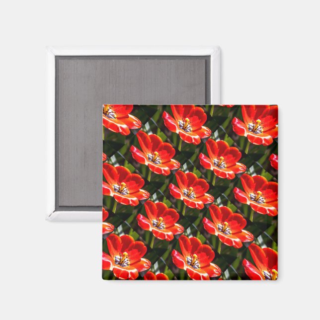 Aimant Motif des Tulipes rouges (Recto/Verso)