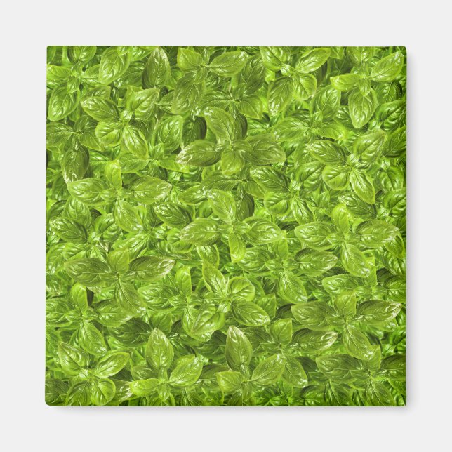 Aimant Motif Feuille Basil (Devant)