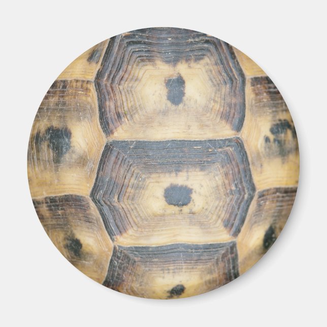 Aimant Motif Tortoise Shell (Devant)