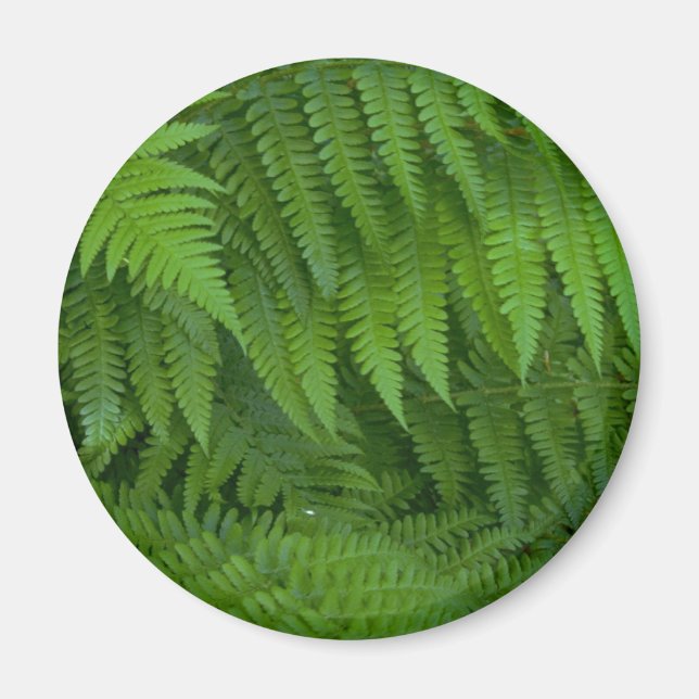 Aimant Motifs de feuilles et de fleurs (Devant)
