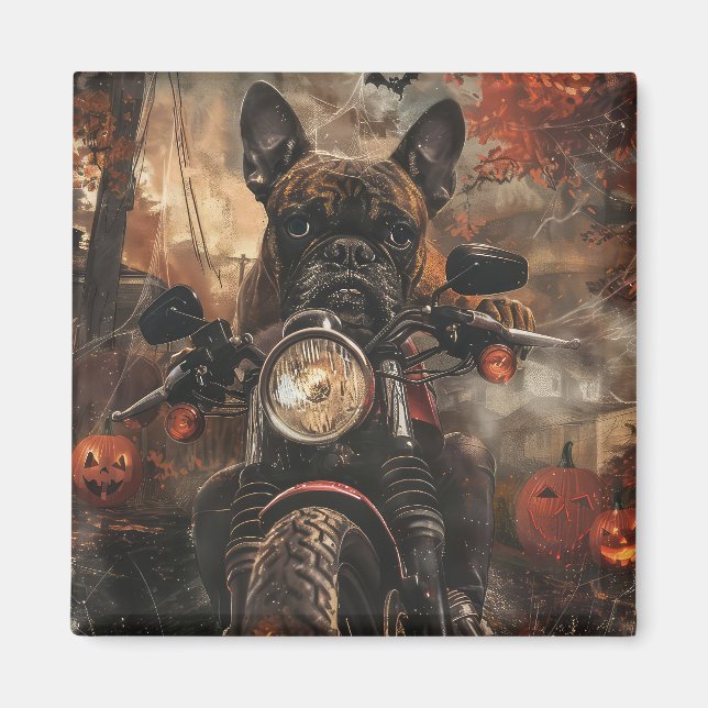 Aimant Moto à cheval Boxer Halloween effrayant (Devant)