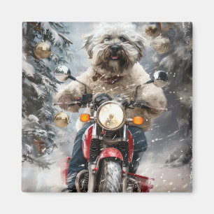 Aimant Moto à chiens Havanais Noël