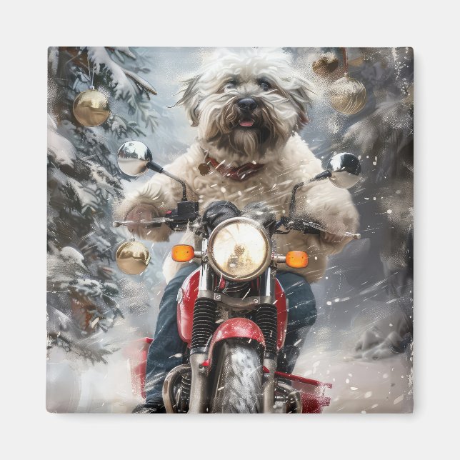Aimant Moto à chiens Havanais Noël (Devant)