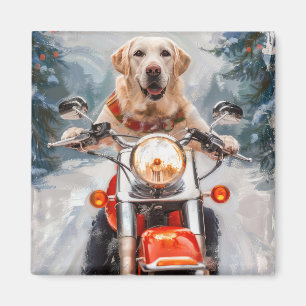 Aimant Moto à chiens Labrador Noël