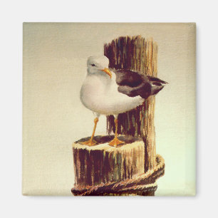 Aimant MOUETTE de VIEIL HOMME par SHARON SHARPE