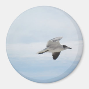 Aimant Mouette de vol
