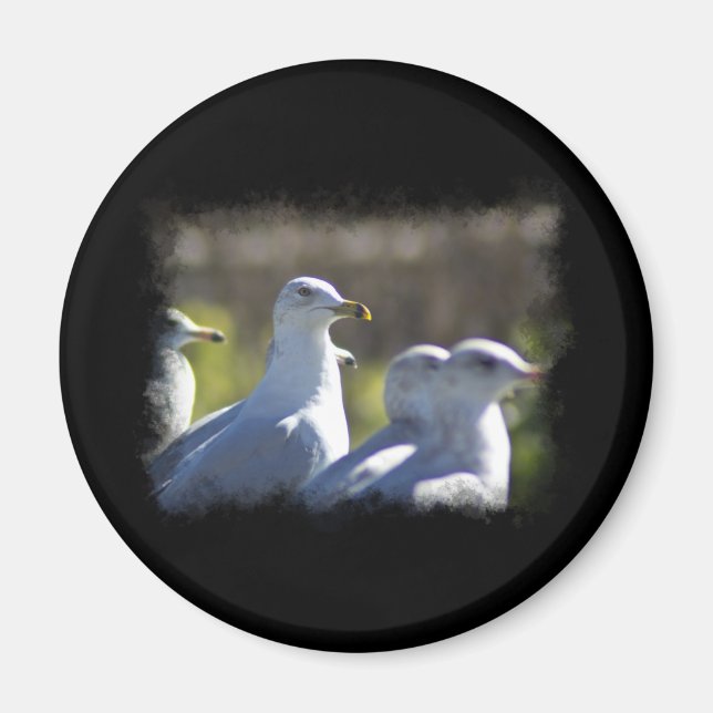 Aimant Mouette sur rail (Devant)
