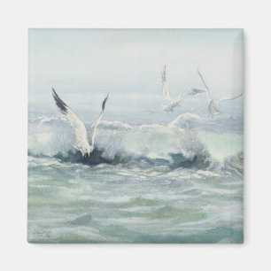 Aimant MOUETTES et SURF par SHARON SHARPE