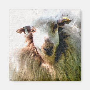 AIMANT MOUTON MIGNON