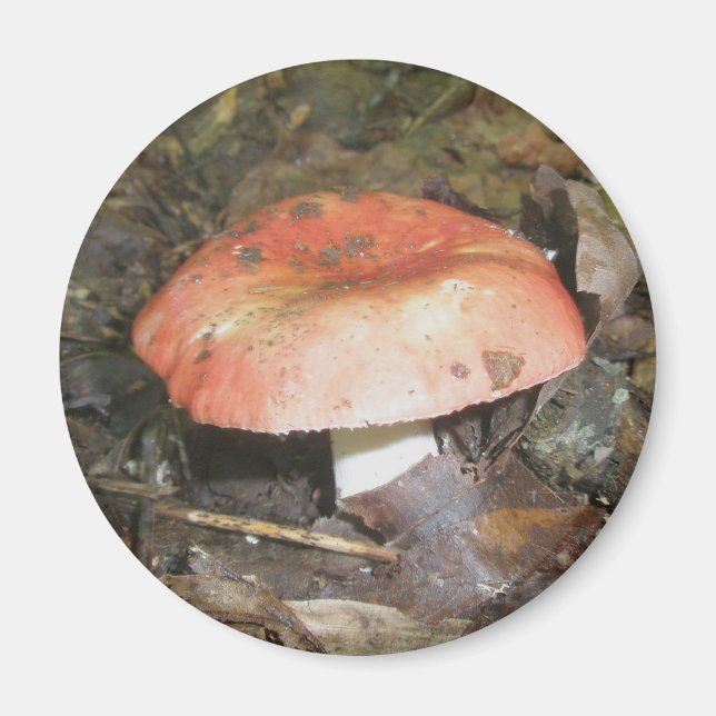 Aimant moyen rouge de champignon (Devant)
