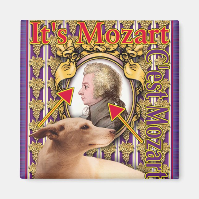 AIMANT MOZART (Devant)