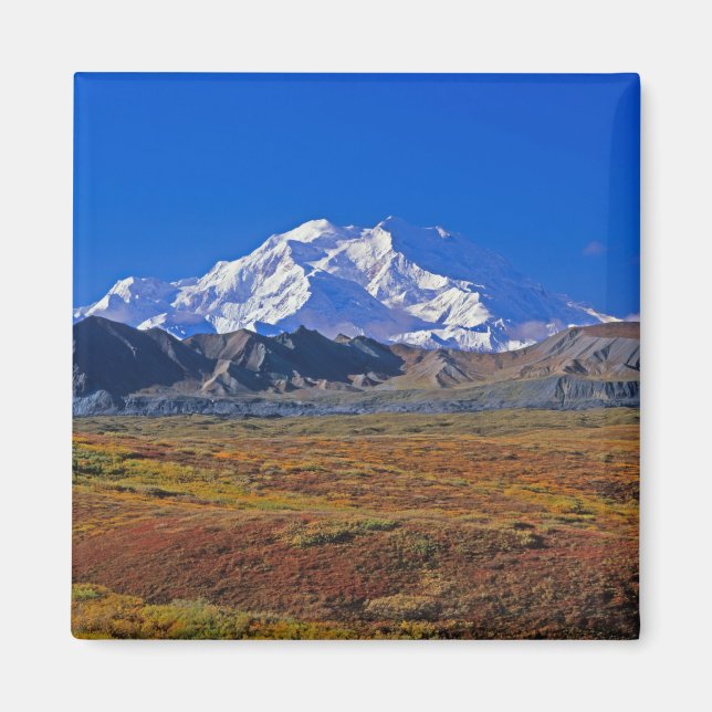 Aimant Mt . McKinley Parc national de Denali , Alaska. (Devant)