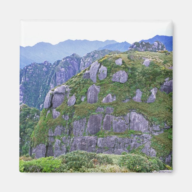 Aimant Mt. Nagata, Yakushima, Kagoshima, Japon (Devant)