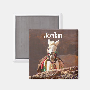 Aimant Mule blanche, Petra Jordan