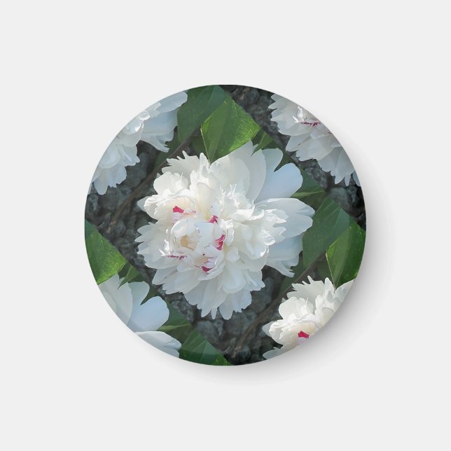 Aimant Multi Magnét Pivoine Précieuse (Devant)