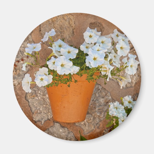 Aimant Mur espagnol (Devant)