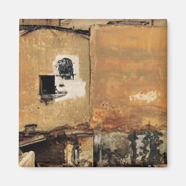 Aimant mur urbain de vautour péruvien (Devant)