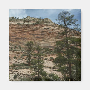 Aimant Murs de roche usés dans le parc national de Zion
