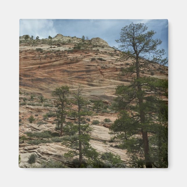 Aimant Murs de roche usés dans le parc national de Zion (Devant)