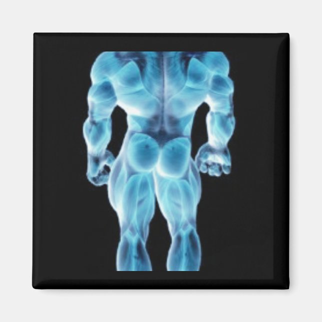 Aimant Musclar Skeletal (Devant)