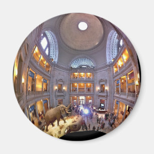 Aimant Musée d'histoire naturelle