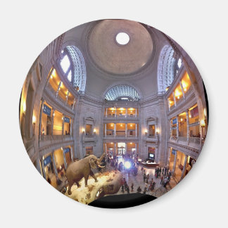 Aimant Musée d'histoire naturelle