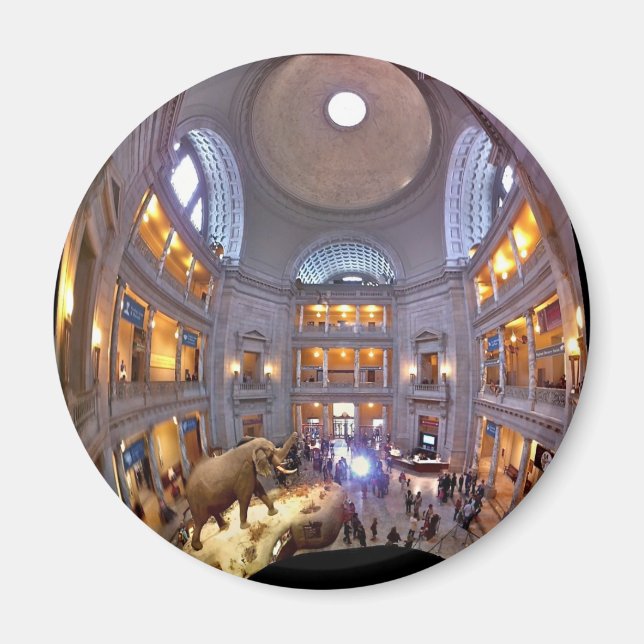 Aimant Musée d'histoire naturelle (Devant)