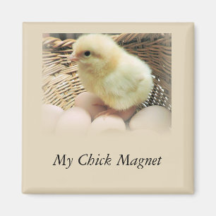 Aimant "My Chick Magnet" avec du poulet pour bébés