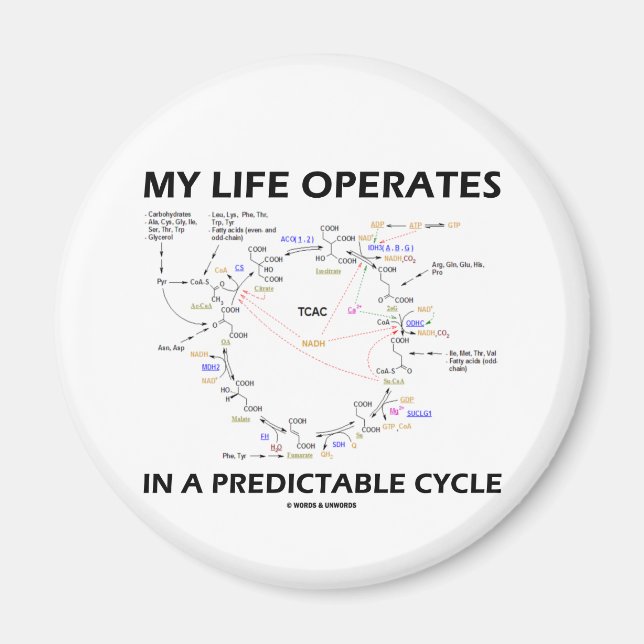 Aimant My Life Operates In A Predictable Cycle (cancer) (Devant)