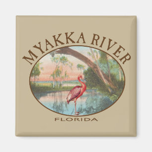 Aimant Myakka River Floride avec spatule rose
